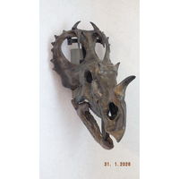 Череп динозавра, (Центрозавр)