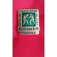 Турнир по вольной борьбе на приз Королева Н Ф Могилёв