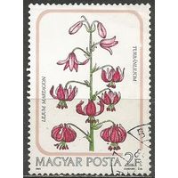 Венгрия. Лилия кудреватая. 1985г. Mi#3789.