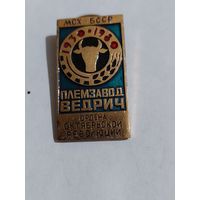 Значок " Племзавод Ведрич "