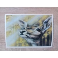 Исаков 1989 чистая