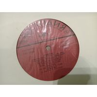 Виниловая пластинка