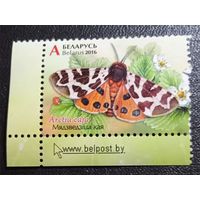 Лот 246 Беларусь (2016) Бабочки. Медведица Кая BY1153