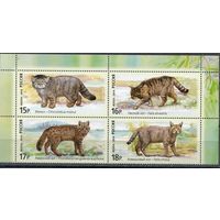 Россия. 2014г. Фауна. Дикие кошки.