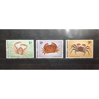 Мальдивы. Фауна. Крабы, раки (1328)