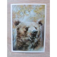 Исаков 1989, чистая