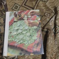 В.Н.Рябцевич.  Очем рассказывают монеты.