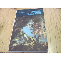 Ж.-И. Кусто. Жизнь и смерть кораллов. 1975 г.