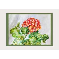 Открытка. Флора. Комнатные цветы. Пеларгония. Герань. Худож. А.Радченко (чистая)