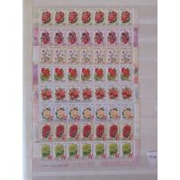 Беларусь. Цветы. 2008. Двенадцатый стандарт. Серия. Полоски с номером заказа (А)