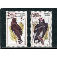 ЮАР. Фауна. Хищные птицы
