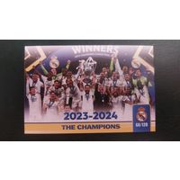 Карточка Реал Мадрид, победитель ЛЧ 2023-2024