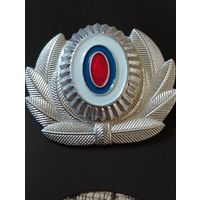 Кокарда РФ (8).