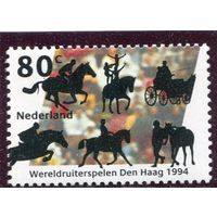 Нидерланды. Всемирные конные игры. Спортивные дисциплины