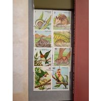 Фауна на почтовых марках