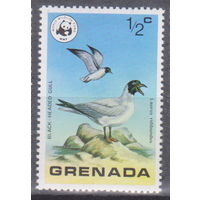 Птицы фауна Гренада 1978 год  лот 17 ЧИСТАЯ