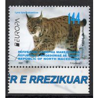 Македония 2021. EUROPA. Фауна рысь 1 марка (951)