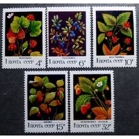 Марки СССР 1982 год Ягоды