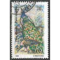 Румыния. Птицы. Павлин. 1999г. Mi#5402.