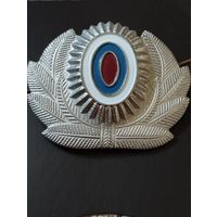 Кокарда РФ (9).