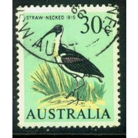 Австралия - 1966 [Mi. 373] Гашеная (AU09)