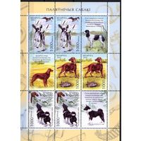 Беларусь 2010. Охотничьи собаки. Малый лист 854-56 (533)