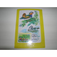 Календарик 1987 год Филателия. ВОФ