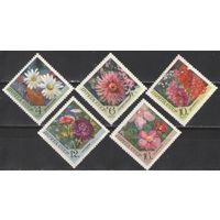 Марки СССР.1970г. Цветы