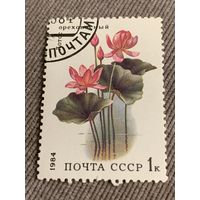 СССР 1984. Флора. Лотос. Марка из серии