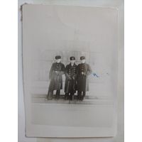 Фото в коллекцию