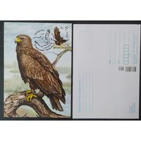 Беларусь 2019 КМ птица года, большой подорлик .