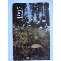 Календарик 1995 г.  Подберезовик.