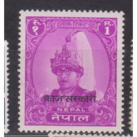 41-я годовщина со дня рождения короля Непала Махендры  Известные  Люди Личности Непал 1960 год лот 12  С НАДПЕЧАТКОЙ ЧИСТАЯ полная серия