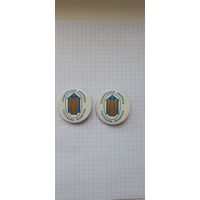 Значок социальная защита, ведомственный.