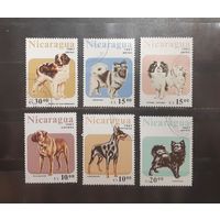 Никарагуа. 1987 год. Фауна. Собаки (780)