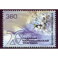 Беларусь 2006. 20 лет Чернобыльской трагедии