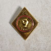 Значок. 9 класс. Школа. СССР.