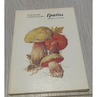 Грибы. Выпуск второй. Полный комплект: 16 открыток. 1987