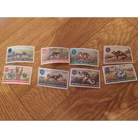 Малуку Селатан серия марок 1953 г. Фауна.