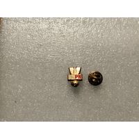 Федерация футбола Польша