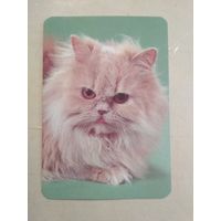 Карманный календарик. Кошки . 1996 год