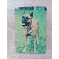 Календарик 1991