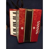 Аккордеон детский