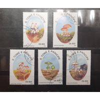 Сен Томе и Принсипи. 1993 год. Флора. Грибы. Блок (1027)