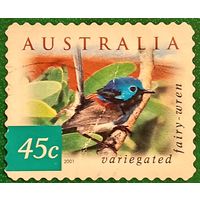 Австралия 2001. Фауна. Птицы. Variegated Fairy-wren