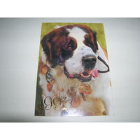 Календарик 1991 год Собака Сенбернар