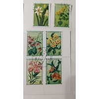 РАСПРОДАЖА КОЛЛЕКЦИИ. Сан-Томе и Принсипе, марки "цветы"