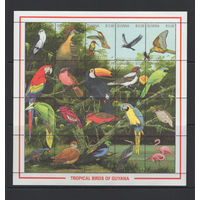 Гайана 1990** Птицы тропического леса Южной Америки Mi#3427-3446