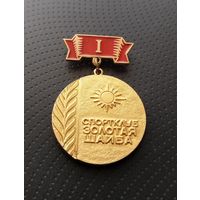 Спортклуб золотая шайба. Первенство г. Бреста. (Б-7)