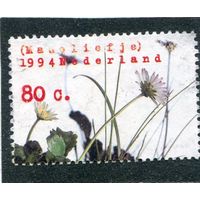 Нидерланды. Флора. Цветы